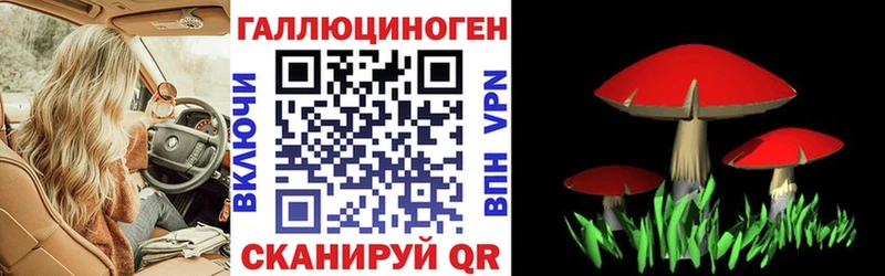 Псилоцибиновые грибы ЛСД  как найти наркотики  Ивдель 